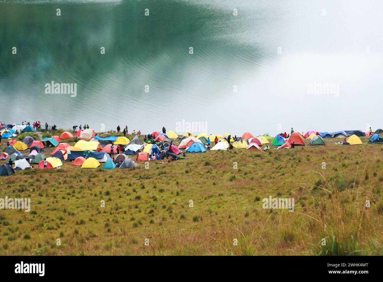 Große Gruppe von Zeltcamping am Ranu Kumbolo See, Mount Semeru, Ost-Java, Indonesien. Stockfoto