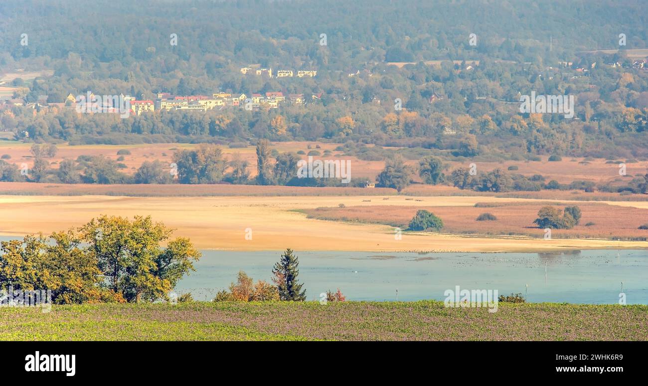Wollmatinger Ried, Konstanz Stockfoto