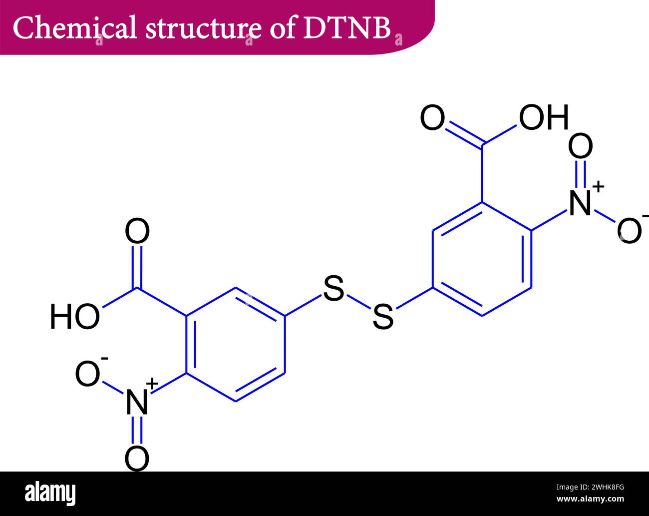 Chemische Struktur des DTNB , Ellman-Reagenz.Vektorillustration. Stock Vektor