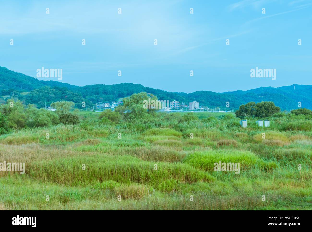 Landschaft des ländlichen Landes mit Gebäuden einer kleinen Stadt im Hintergrund unter blauem Himmel in Südkorea Stockfoto