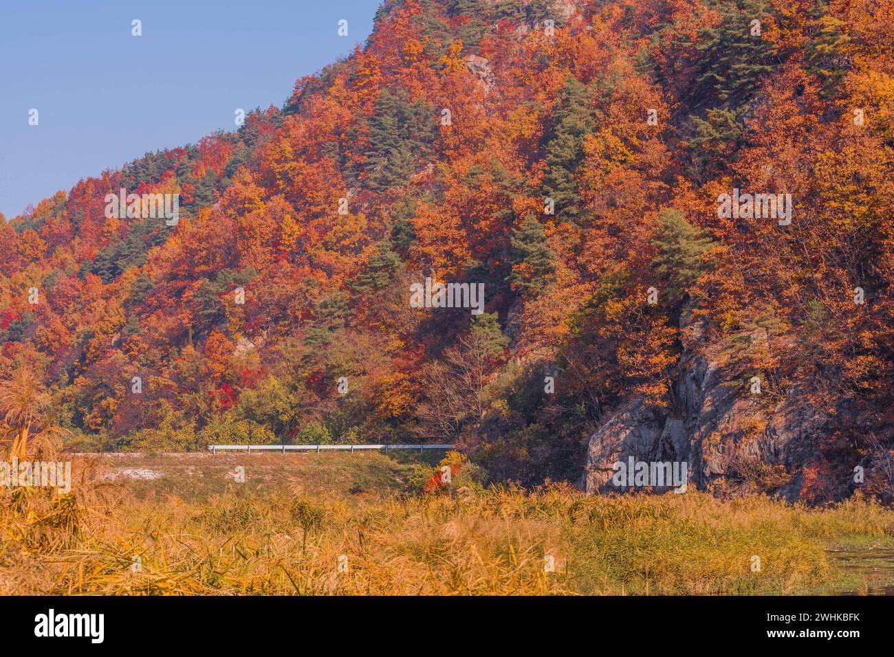 Leitplanke von kleinen Landstraßen und Bäumen in Herbstfarben auf der Seite des Berges an einem hellen sonnigen Nachmittag Stockfoto