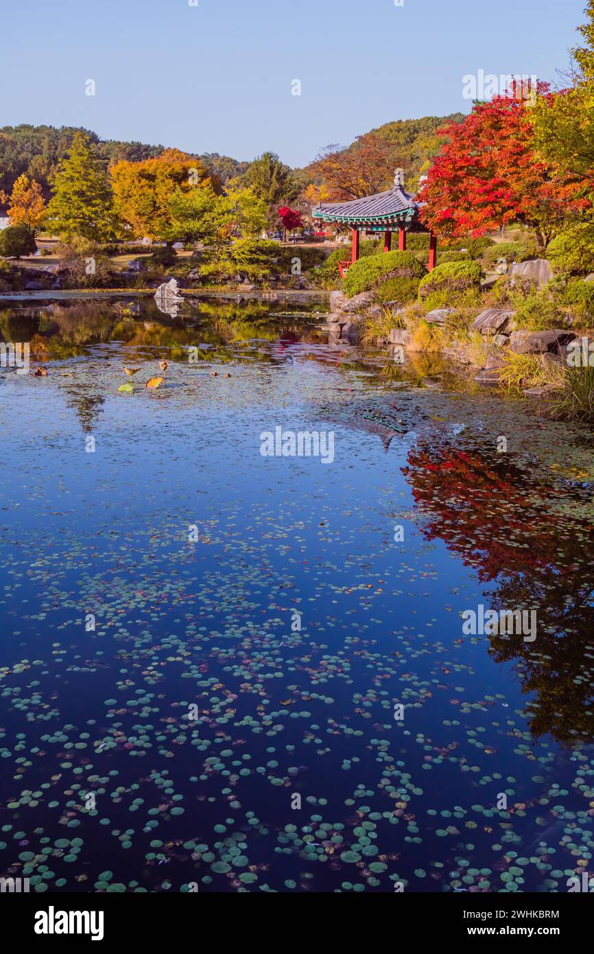 Landschaft eines künstlichen Teichs in einem öffentlichen Park in Südkorea Stockfoto