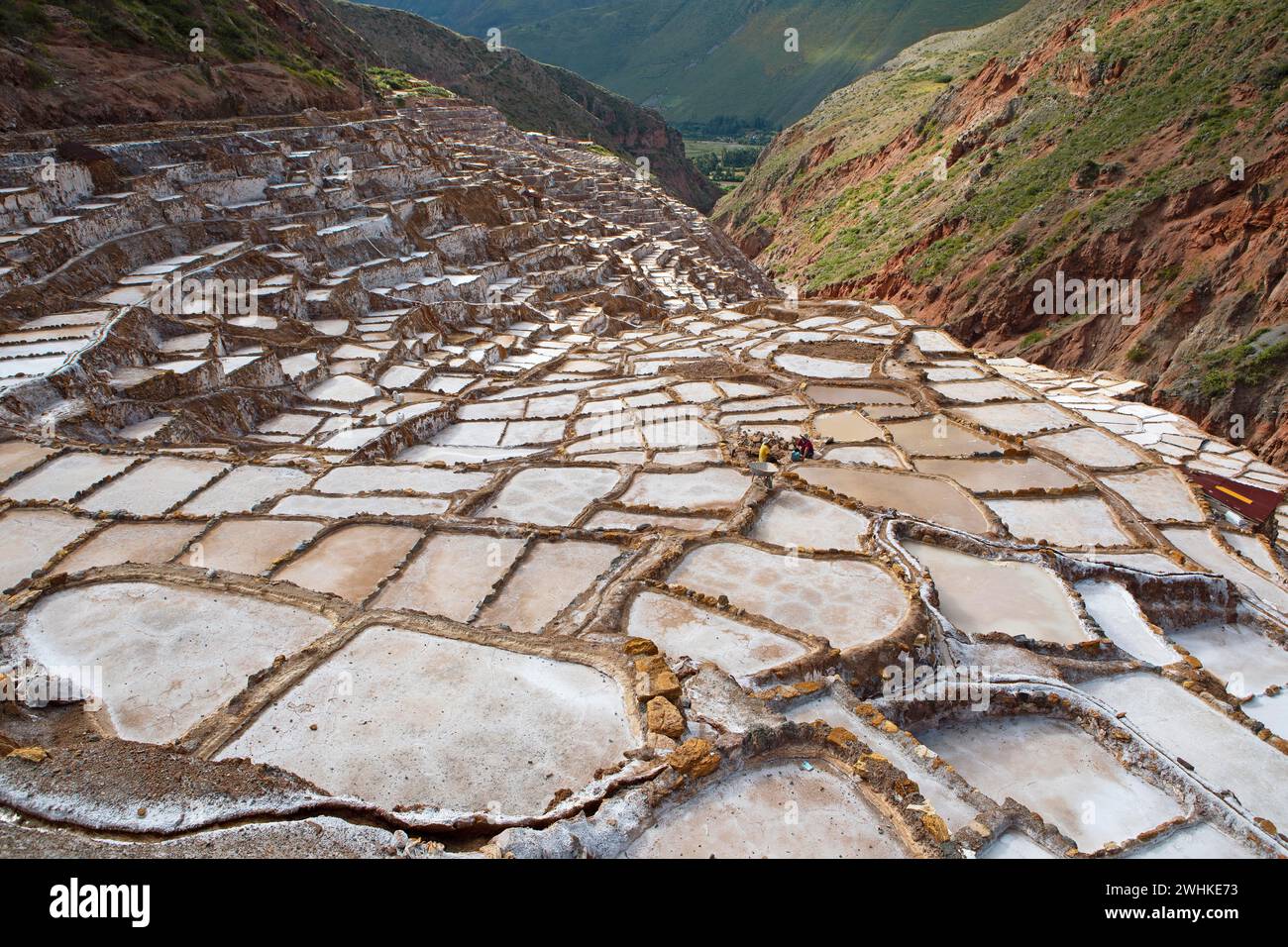 Salineras de Maras oder Salzminen von Maras, Region Cusco, Peru Stockfoto