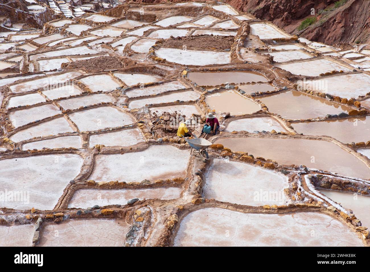 Salineras de Maras oder Salzminen von Maras, Region Cusco, Peru Stockfoto