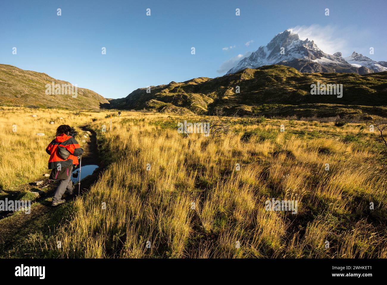 Cerro Paine Grande Stockfoto