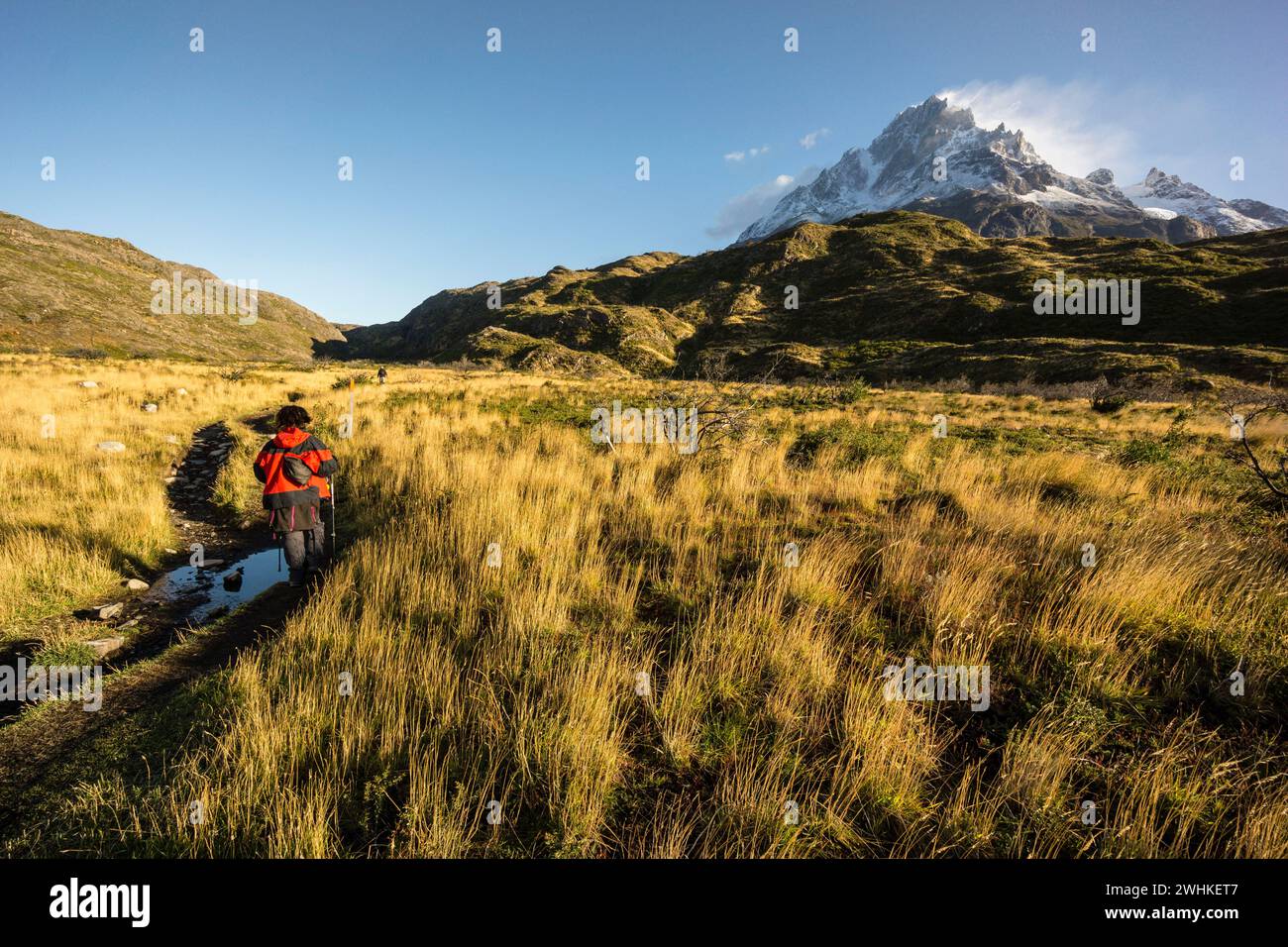 Cerro Paine Grande Stockfoto