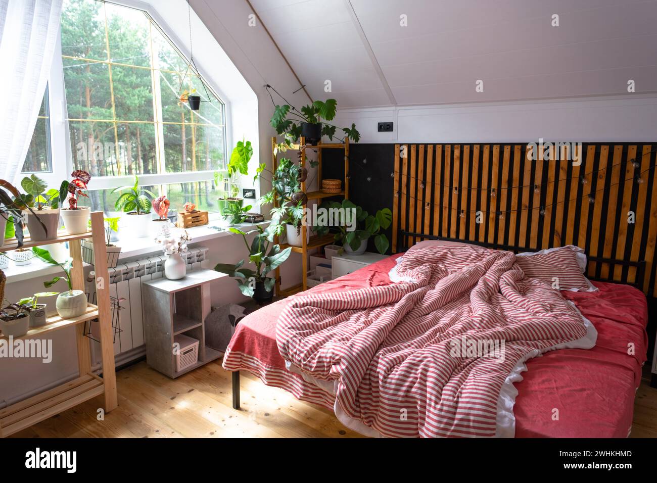 Ungebautes Bett mit rot gestreifter Bettwäsche und ein Chaos im Loft-Stil-Schlafzimmerinnenraum, schwarze Wand mit Holzlatten, Metallbett, Topf-pla Stockfoto