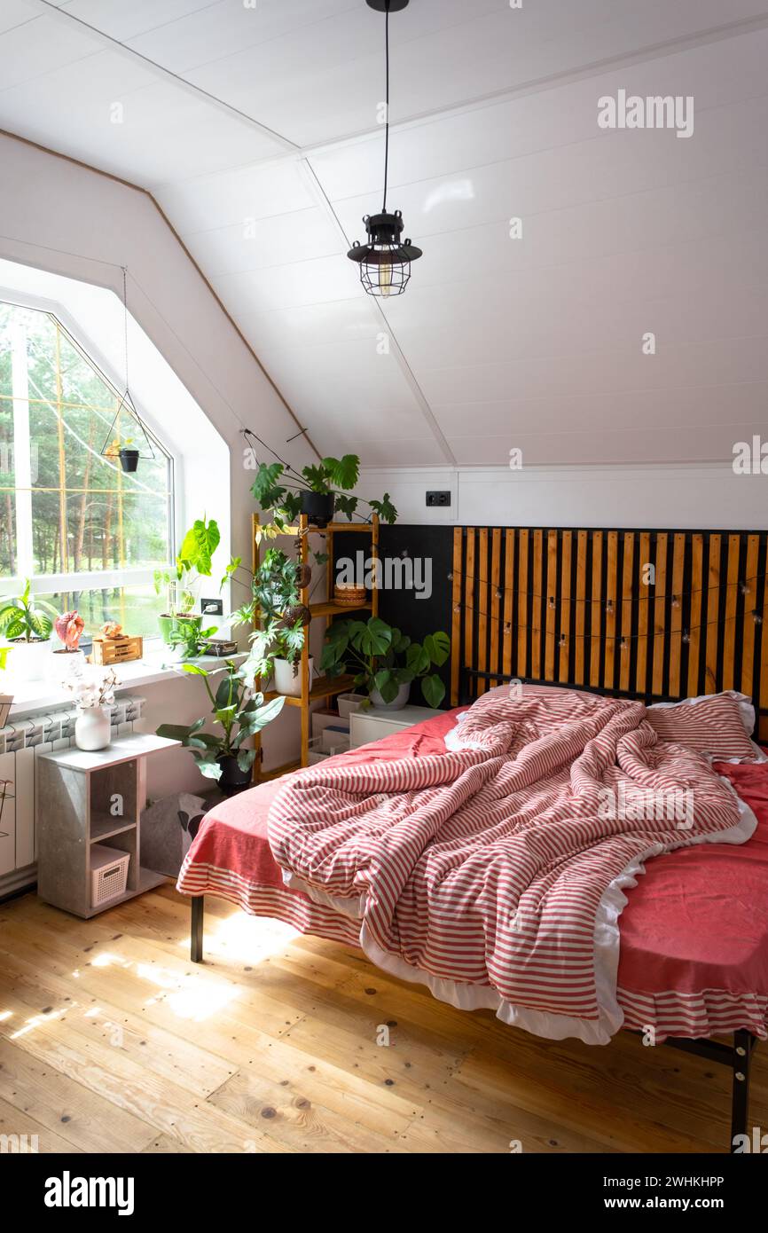 Ungebautes Bett mit rot gestreifter Bettwäsche und ein Chaos im Loft-Stil-Schlafzimmerinnenraum, schwarze Wand mit Holzlatten, Metallbett, Topf-pla Stockfoto