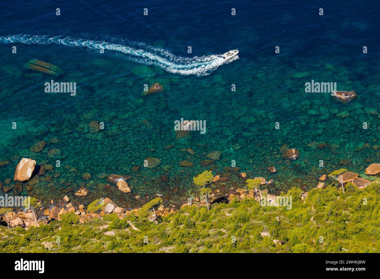 Blick vom Cap Canaille auf die grünen Pinien und das blaue Wasser der Bucht, Provence, Frankreich Stockfoto