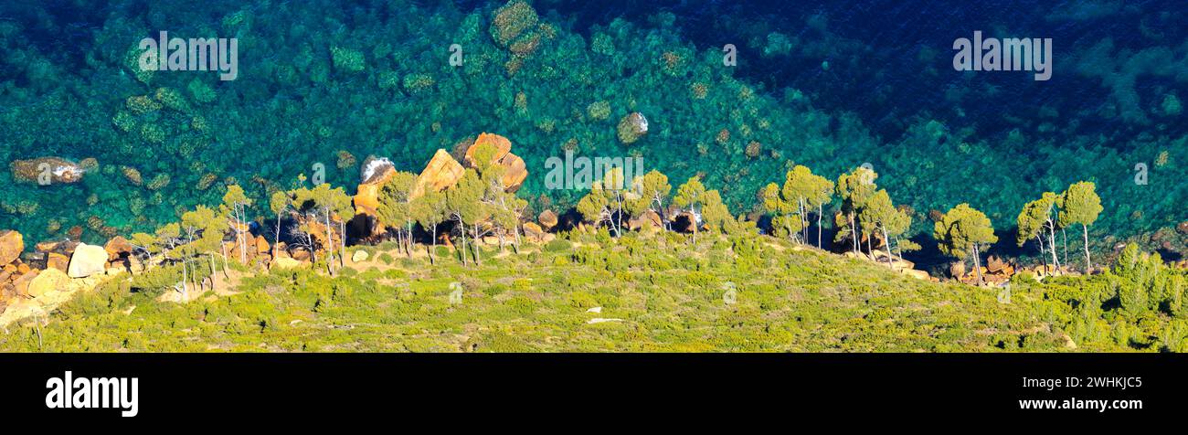 Blick vom Cap Canaille auf die grünen Pinien und das blaue Wasser der Bucht, Provence, Frankreich Stockfoto
