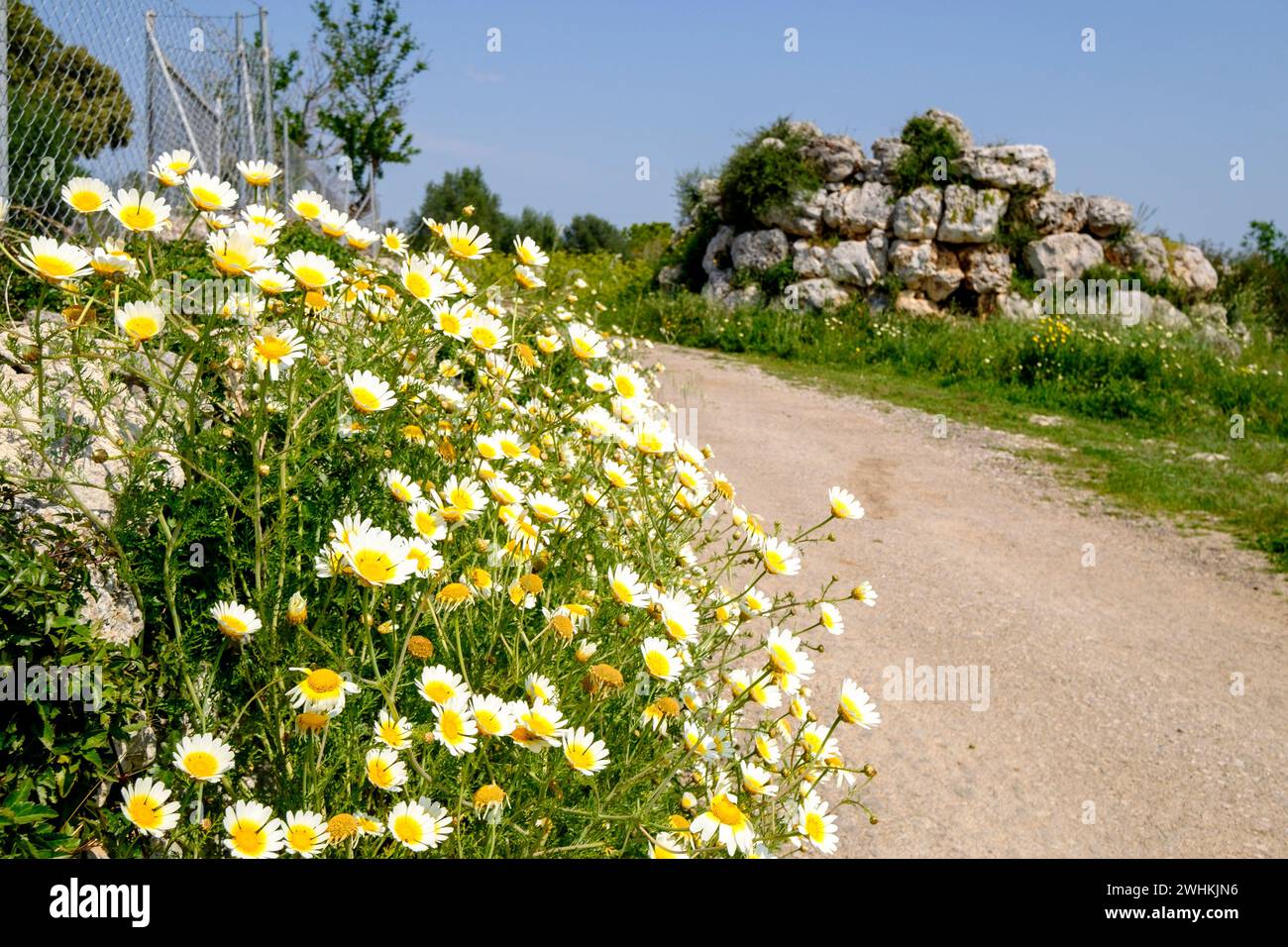 Talaiot des Racons Stockfoto