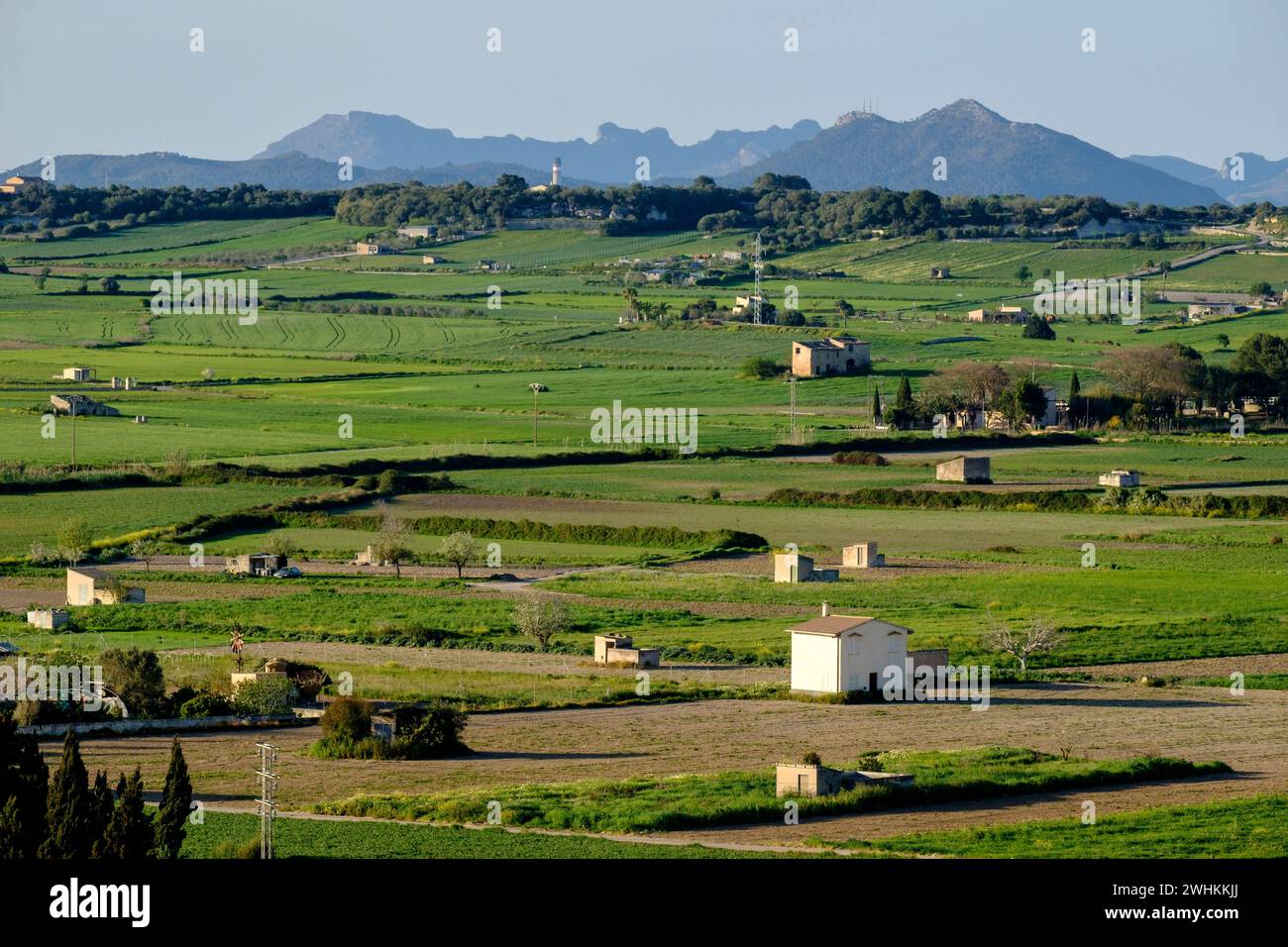 Landschaft mit Werkzeugschuppen Stockfoto