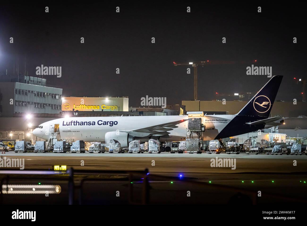 Lufthansa Cargo-Flugzeuge werden früh am Morgen am Flughafen vor Sonnenaufgang im Frachtzentrum Fraport, Frankfurt am Main geladen Stockfoto