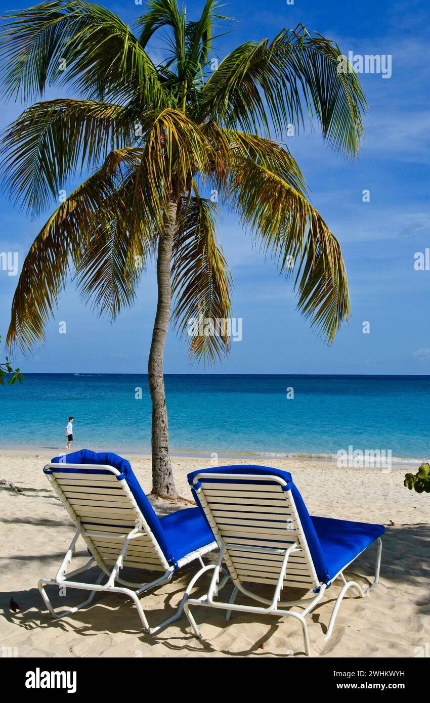 Liegestühle im Grand Anse Beach Grenada, Windward Island, Karibik Stockfoto
