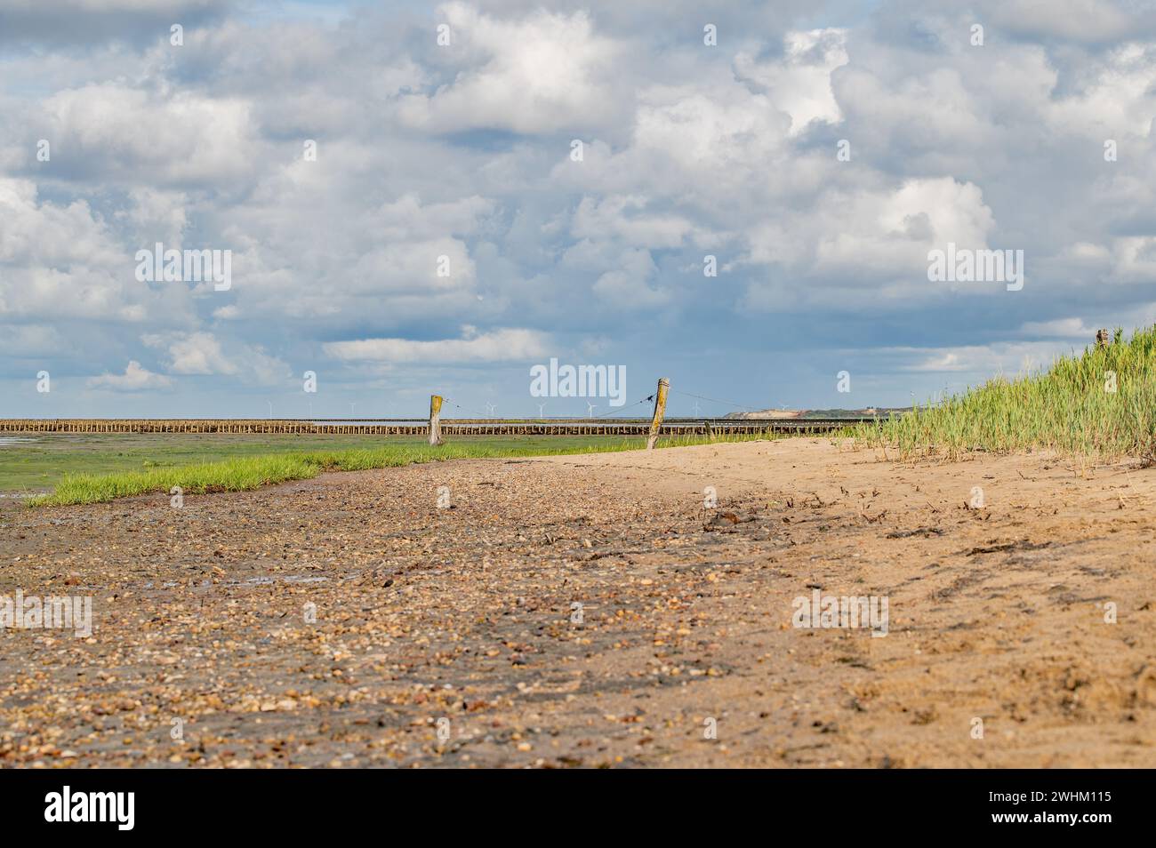 Auf dem Wattenmeer Stockfoto