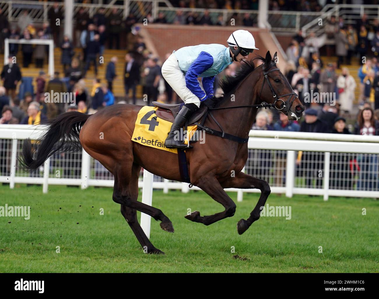 Tristan Durrell Riding Knickerbockerglory wird für das Betfair Hürdenrennen auf der Newbury Racecourse, Berkshire, nominiert. Bilddatum: Samstag, 10. Februar 2024. Stockfoto