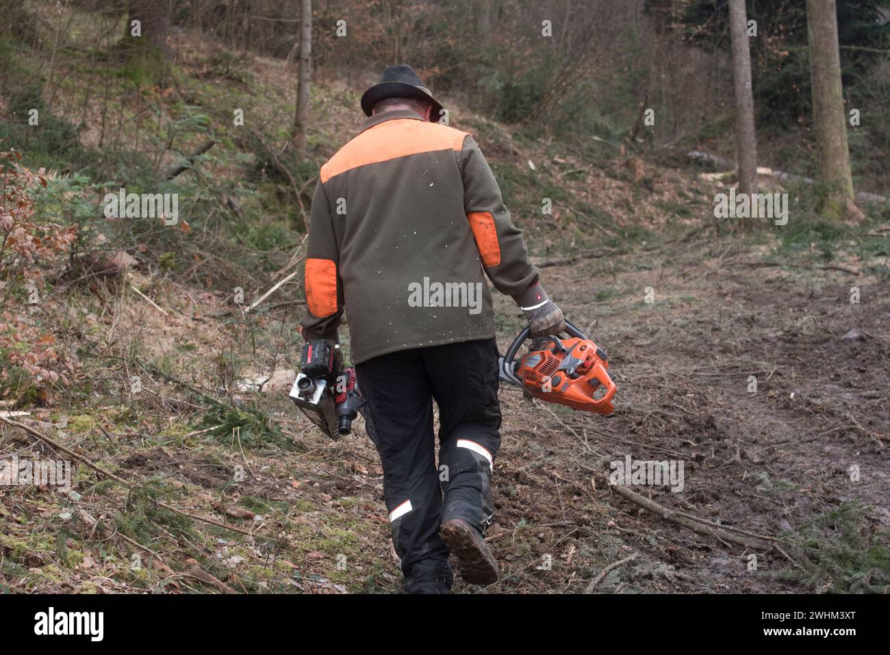 Ein Förster in einem Wald Stockfoto
