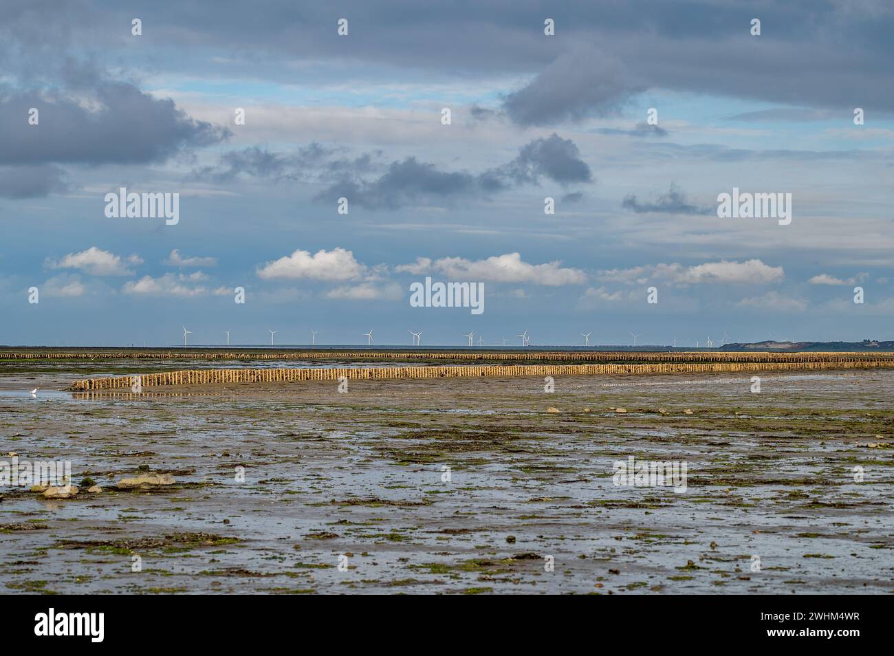 Nationalpark Wattenmeer Stockfoto