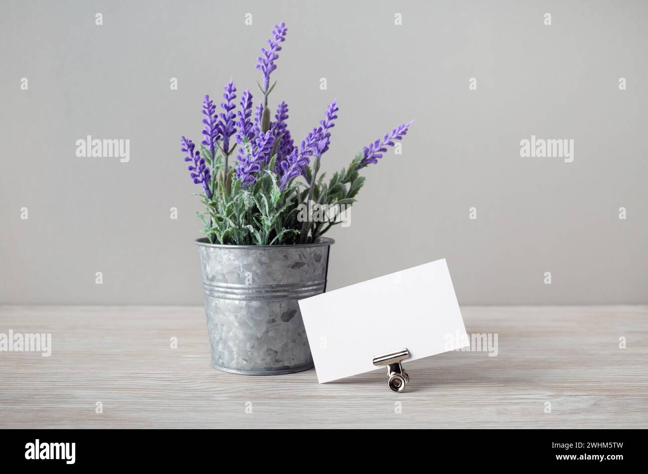 Visitenkarte Lavendel Stockfoto