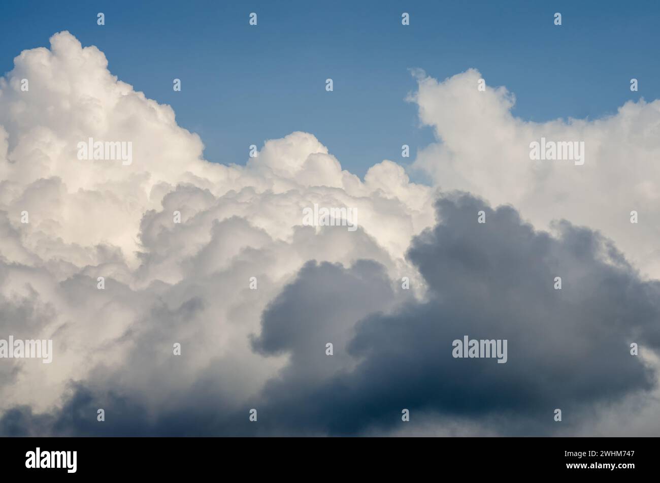 Muster blauer Tageshimmel mit weißen Wolken Stockfoto
