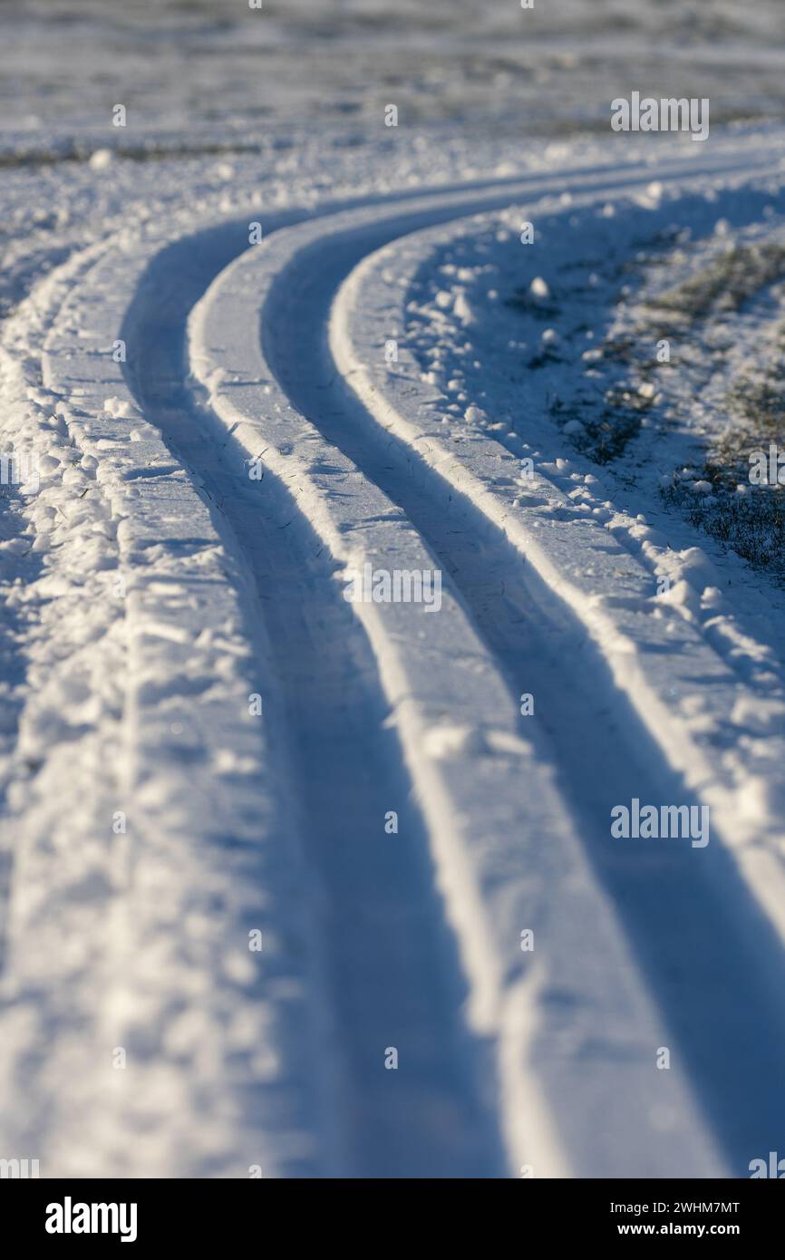Langlaufloipen im Schnee Stockfoto