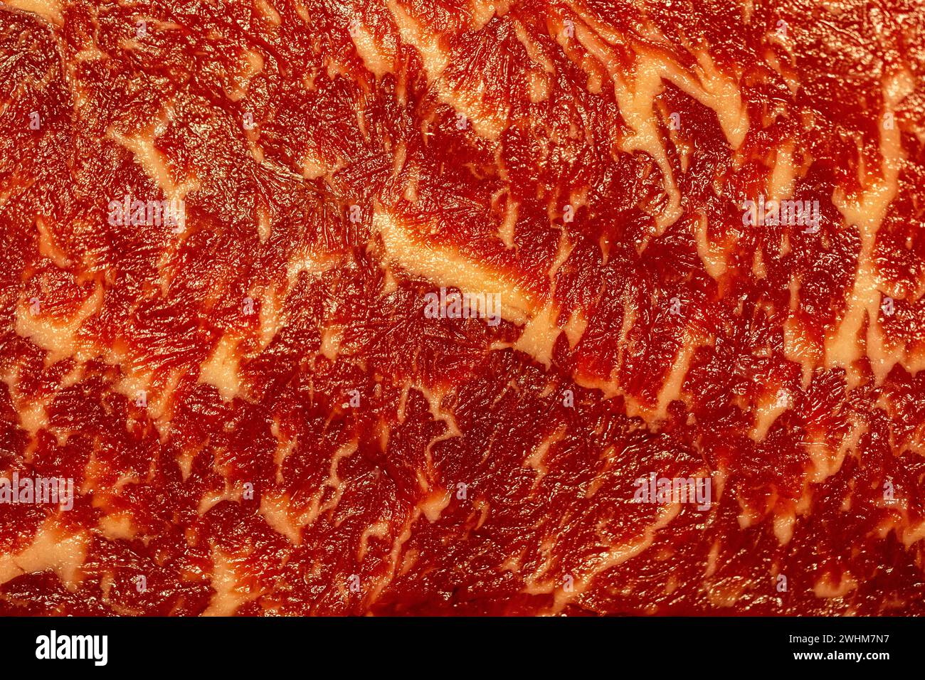 Rohes Wagyu hereford gemischtes Rindfleisch mit marmoriertem Fett als Nahthintergrund. Stockfoto