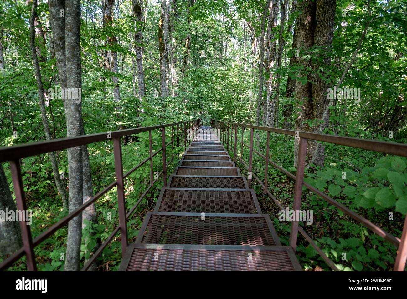 Lange Treppen im Dschungel in thailand Stockfoto