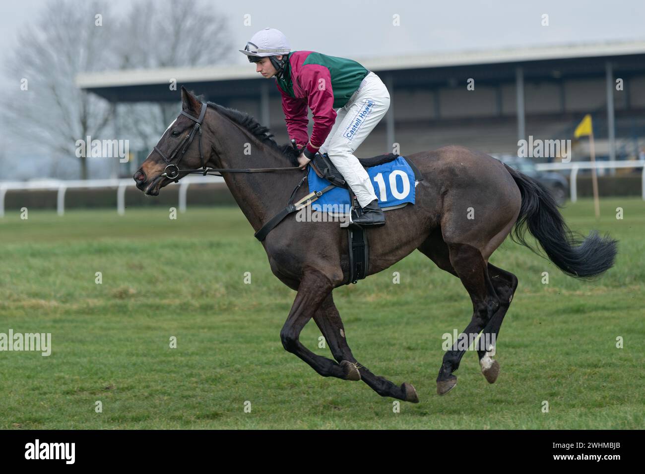 2. März 2022 Rennen in Wincanton Stockfoto