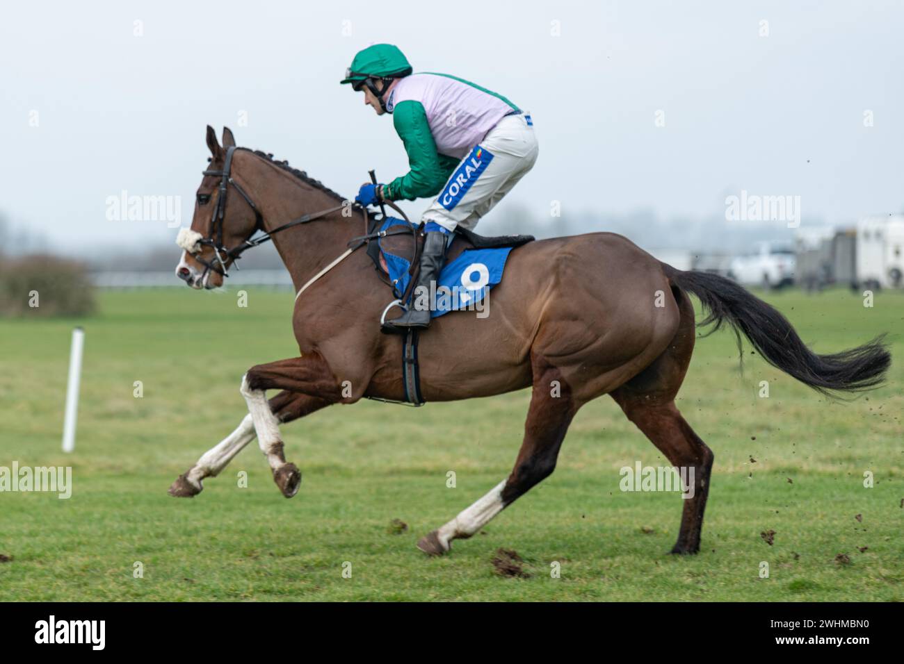 2. März 2022 Rennen in Wincanton Stockfoto