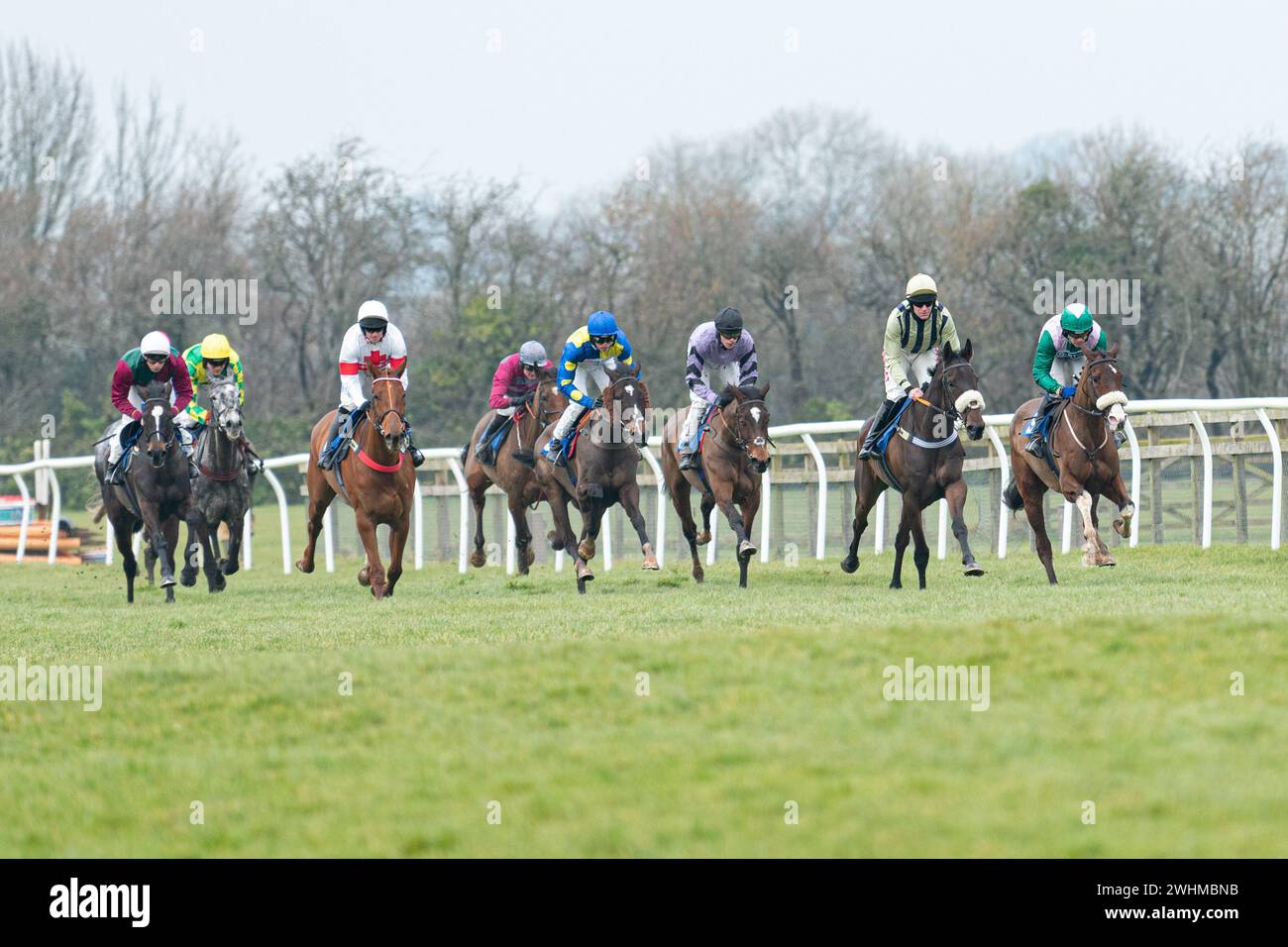 2. März 2022 Rennen in Wincanton Stockfoto