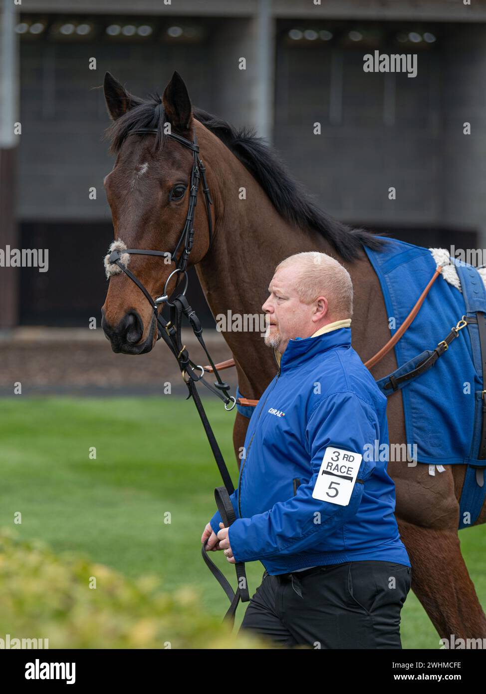 3. Rennen in Wincanton 2. März 2022 - Novizen-Hürde Stockfoto