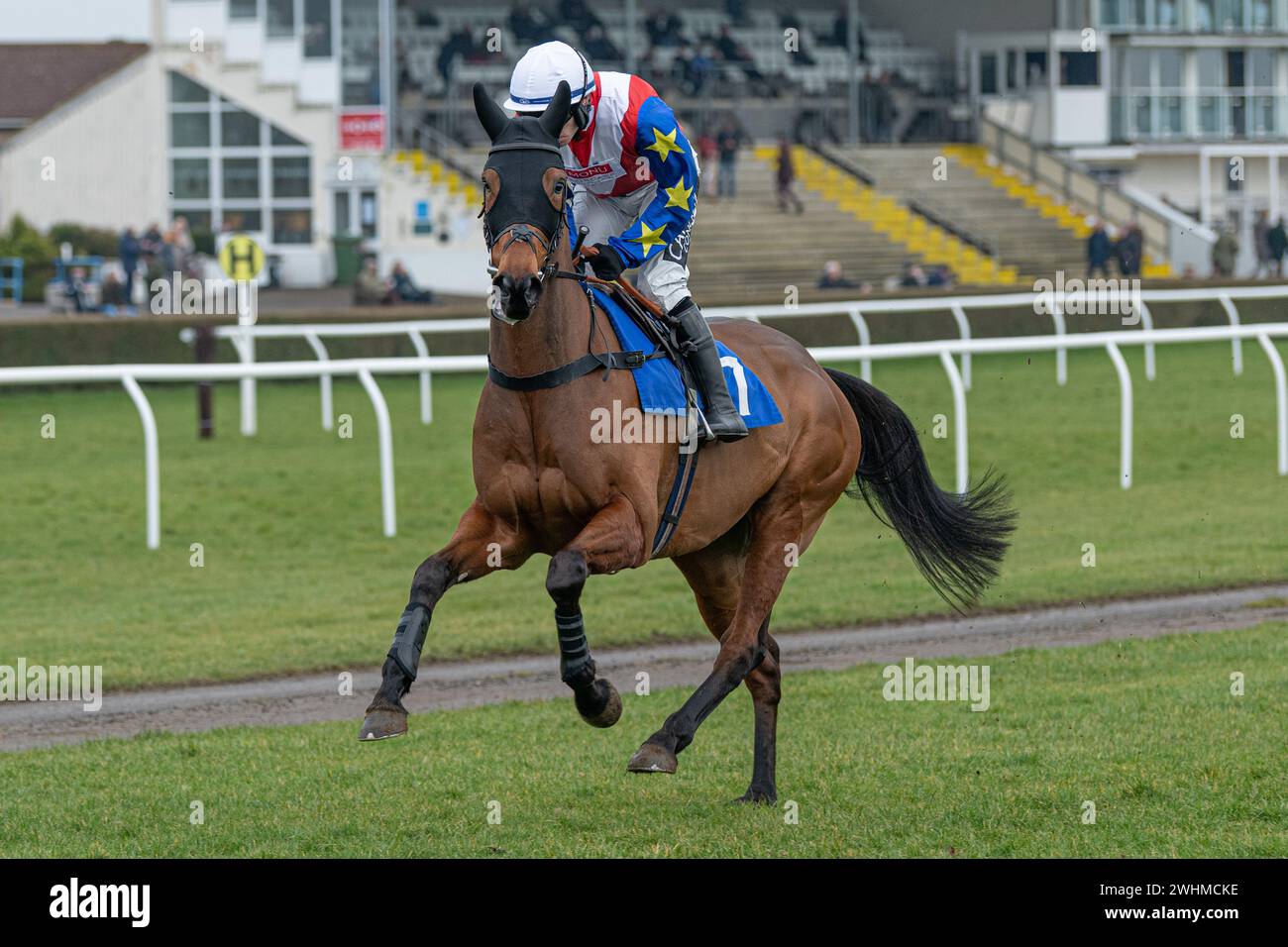 3. Rennen in Wincanton 2. März 2022 - Novizen-Hürde Stockfoto