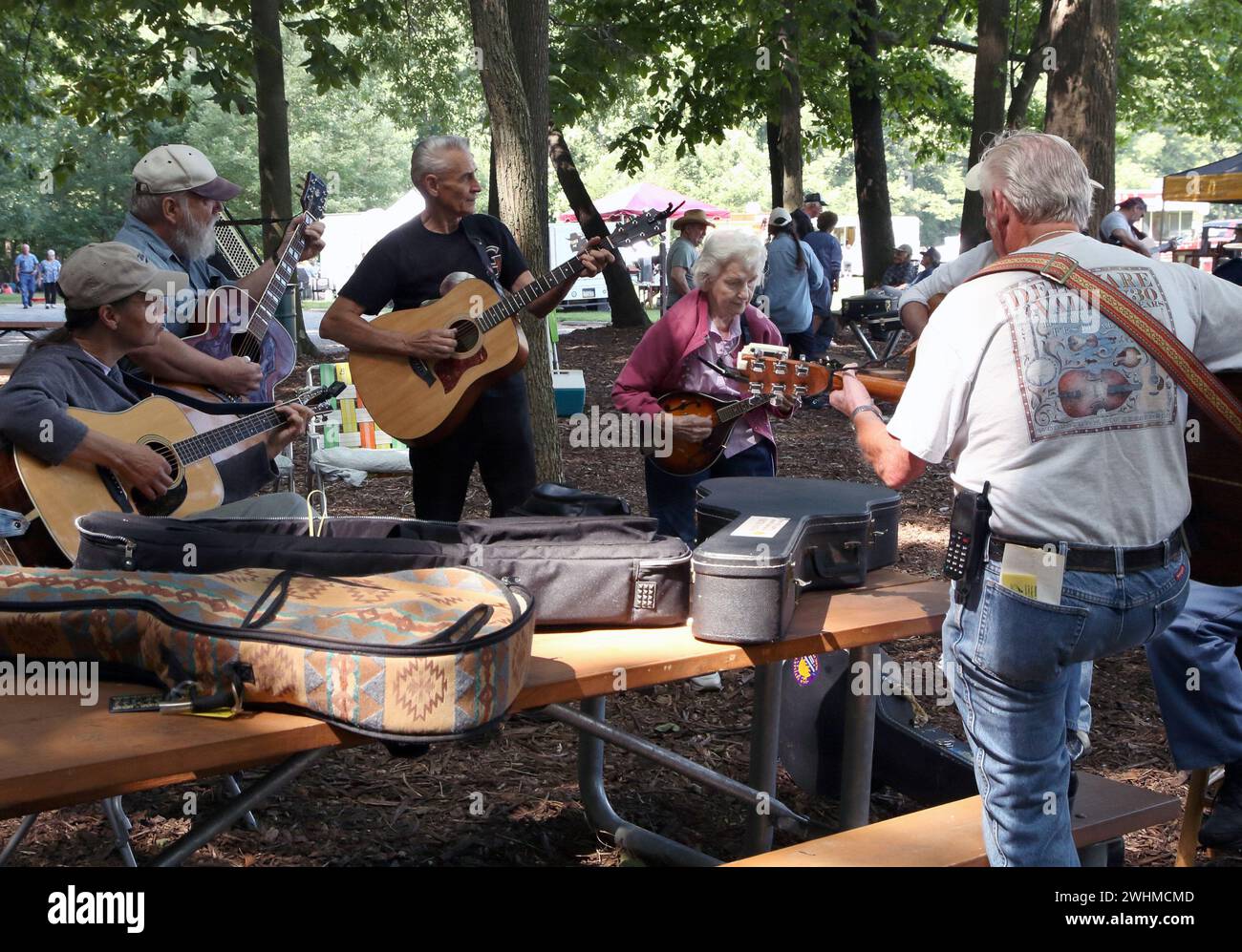 Musiker jammen in fließenden Gruppen unter Bäumen beim Old Fiddlers Picknick Stockfoto