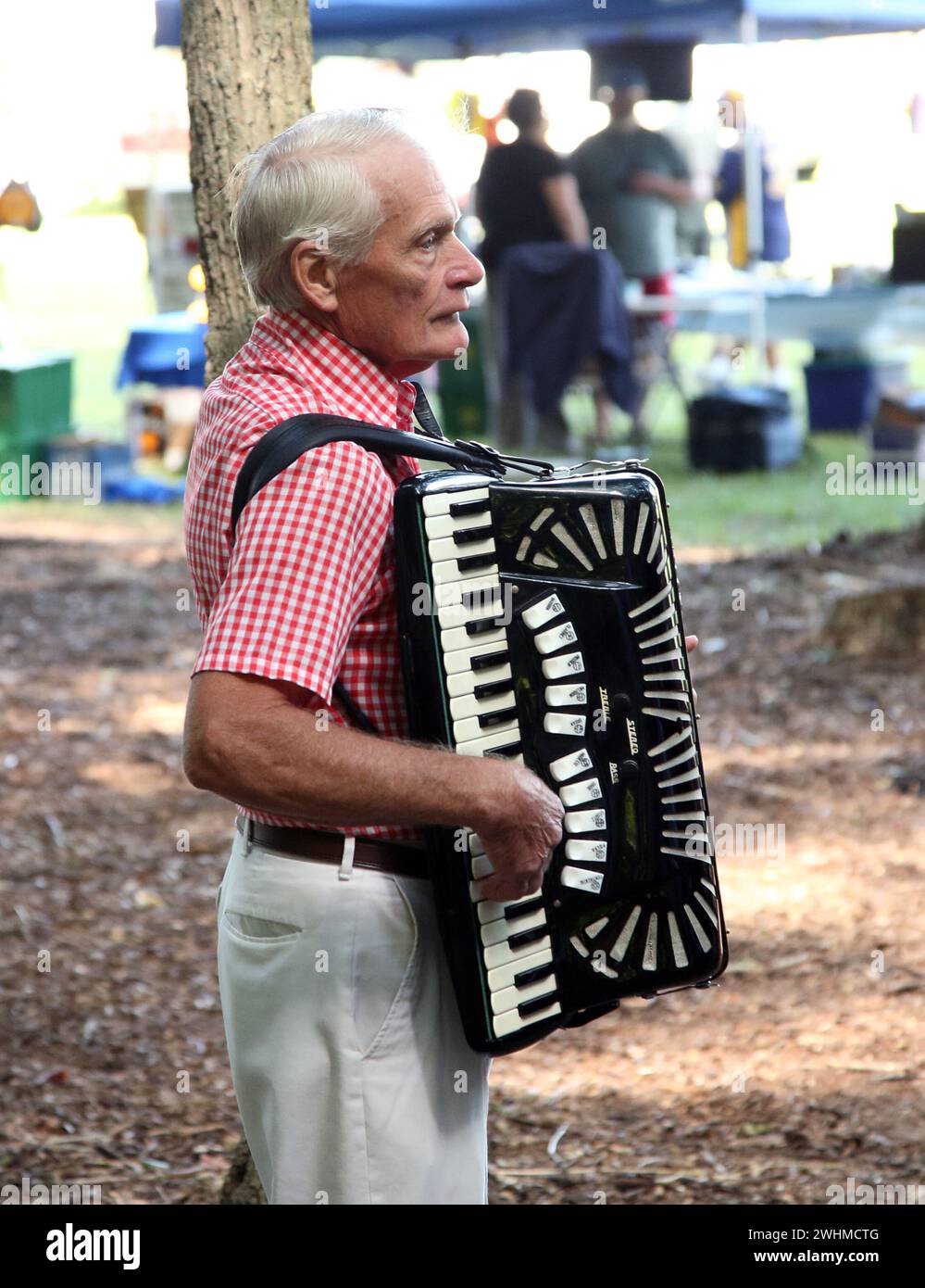 Musiker jammen in fließenden Gruppen unter Bäumen beim Old Fiddlers Picknick Stockfoto
