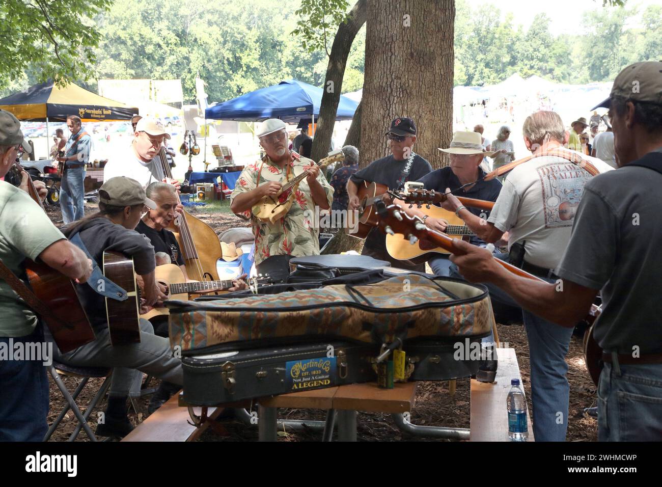 Musiker jammen in fließenden Gruppen unter Bäumen beim Old Fiddlers Picknick Stockfoto