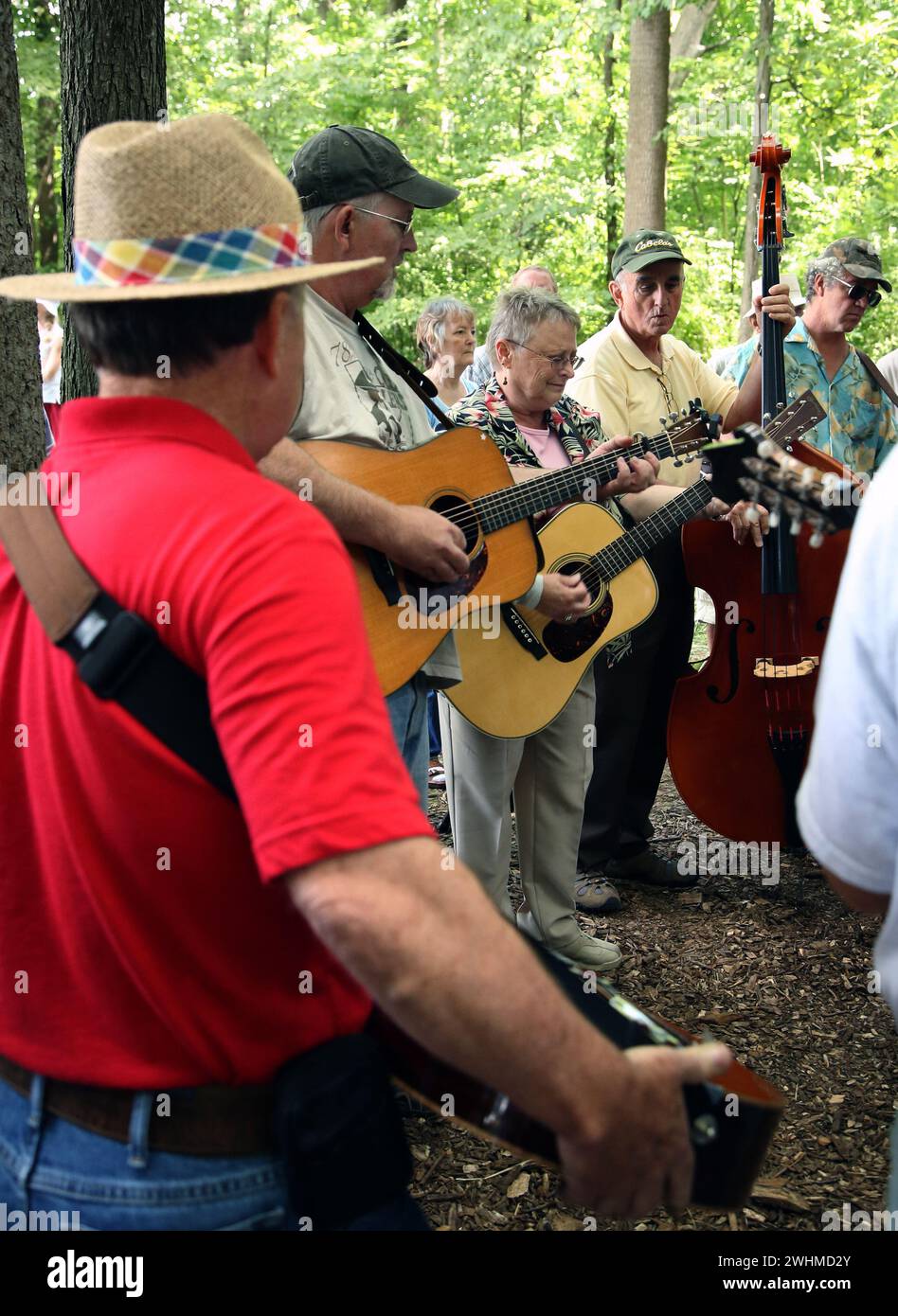 Musiker jammen in fließenden Gruppen unter Bäumen beim Old Fiddlers Picknick Stockfoto