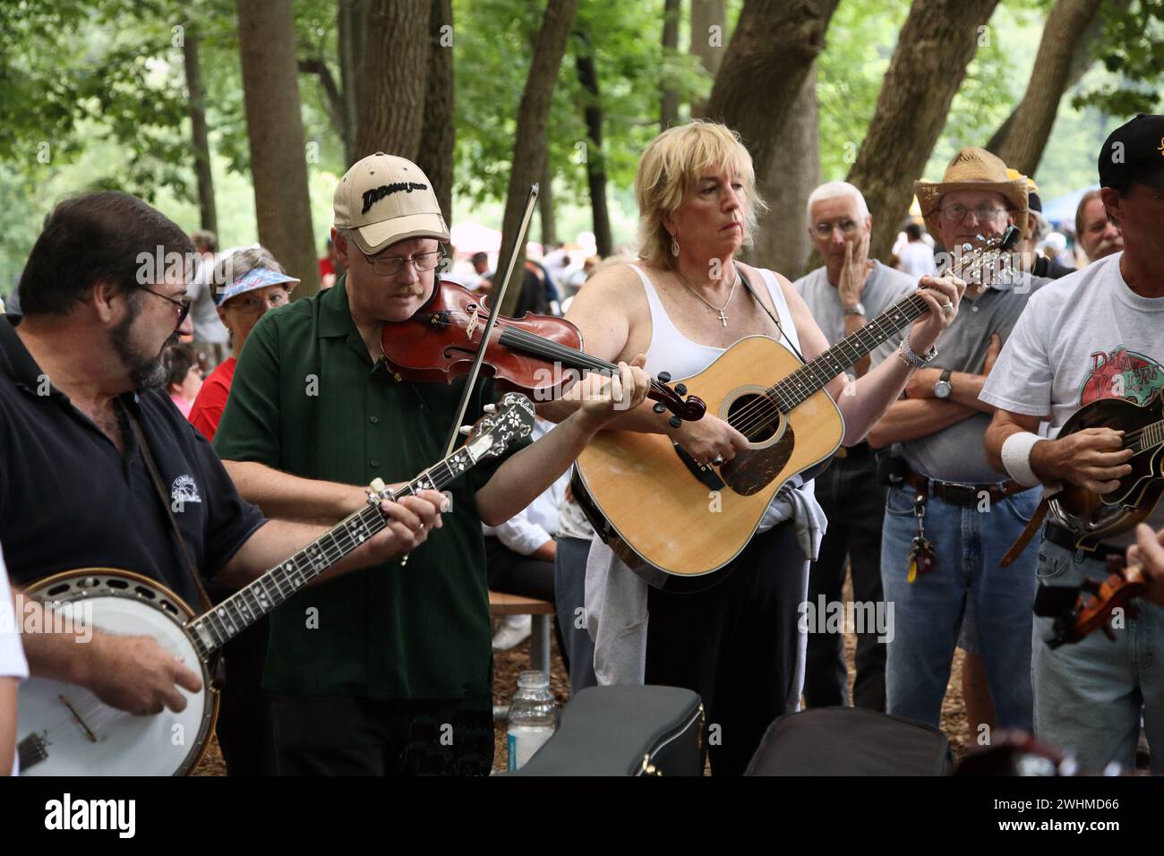 Musiker jammen in fließenden Gruppen unter Bäumen beim Old Fiddlers Picknick Stockfoto