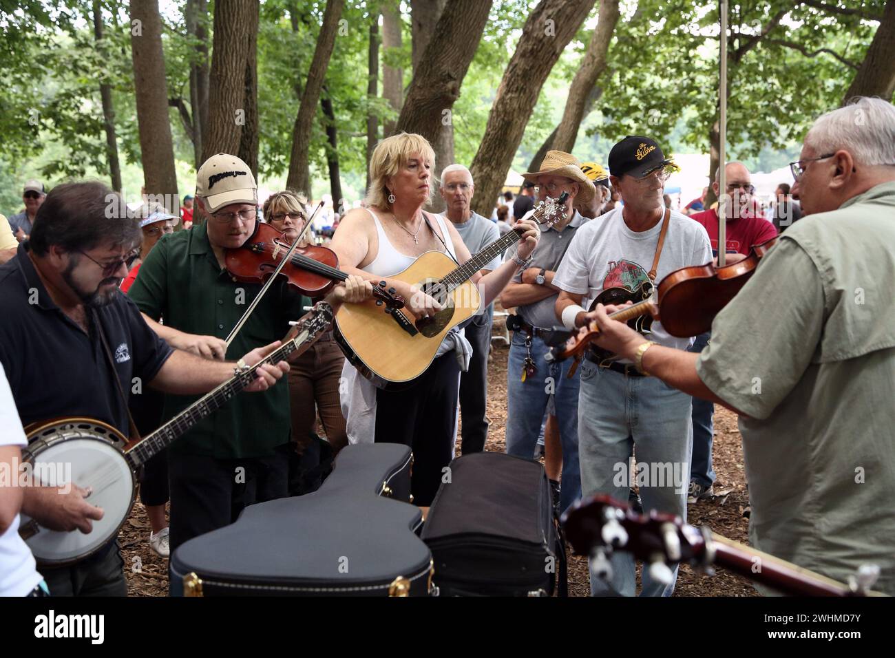 Musiker jammen in fließenden Gruppen unter Bäumen beim Old Fiddlers Picknick Stockfoto