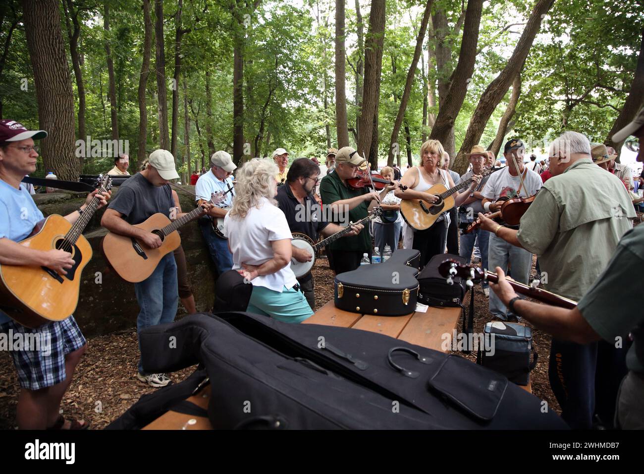 Musiker jammen in fließenden Gruppen unter Bäumen beim Old Fiddlers Picknick Stockfoto