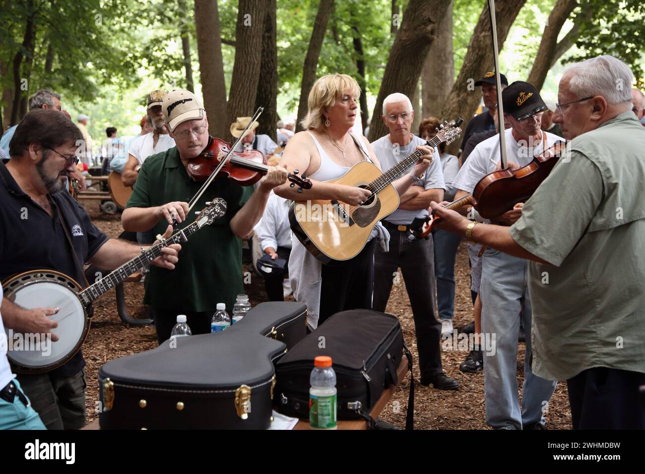 Musiker jammen in fließenden Gruppen unter Bäumen beim Old Fiddlers Picknick Stockfoto
