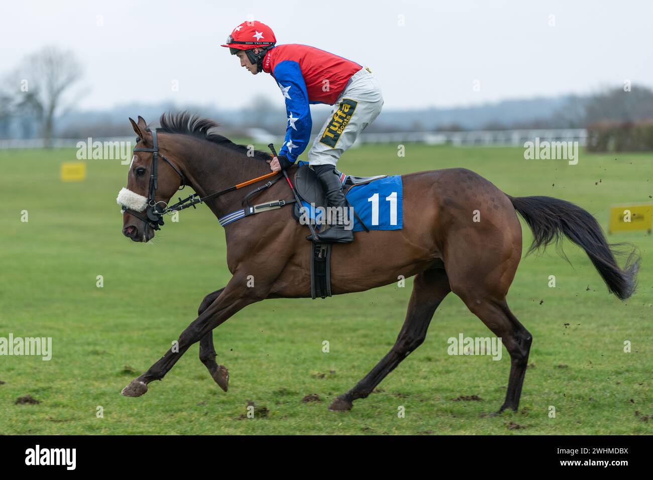 Viertes Rennen in Wincanton am 2. März 2022 Stockfoto