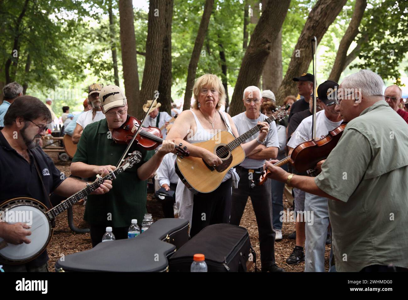 Musiker jammen in fließenden Gruppen unter Bäumen beim Old Fiddlers Picknick Stockfoto
