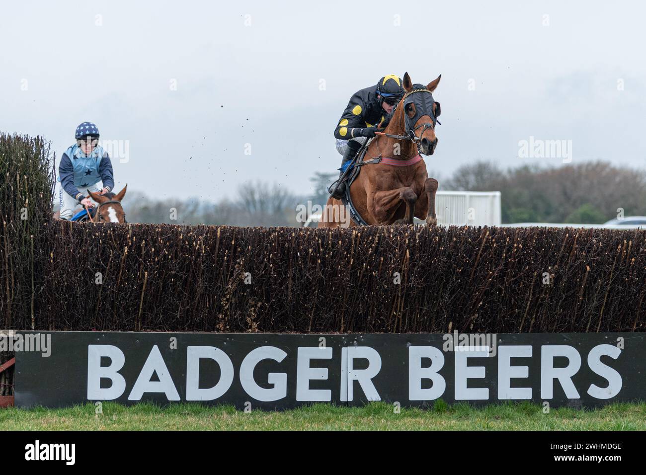 Viertes Rennen in Wincanton am 2. März 2022 Stockfoto