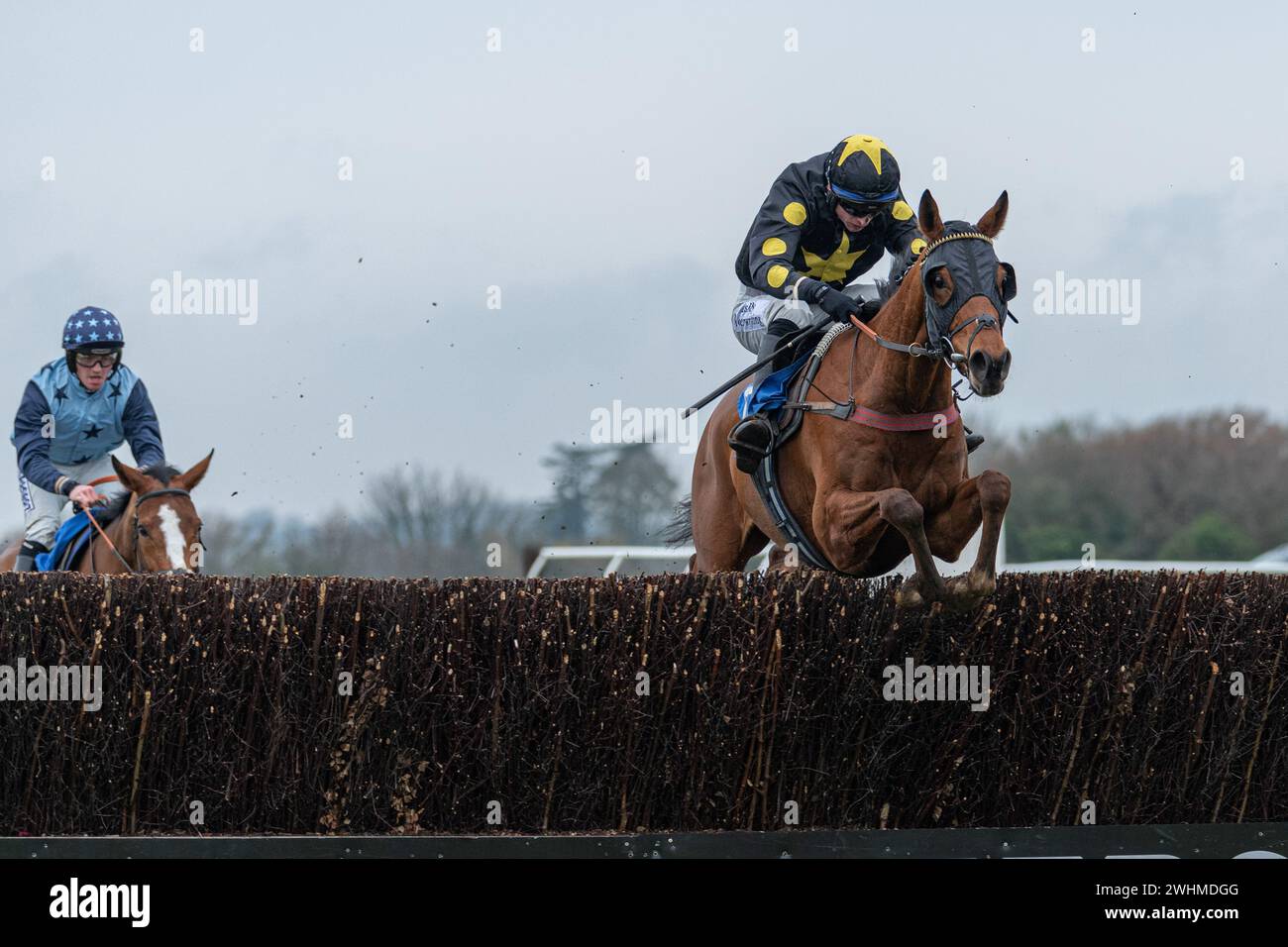 Viertes Rennen in Wincanton am 2. März 2022 Stockfoto