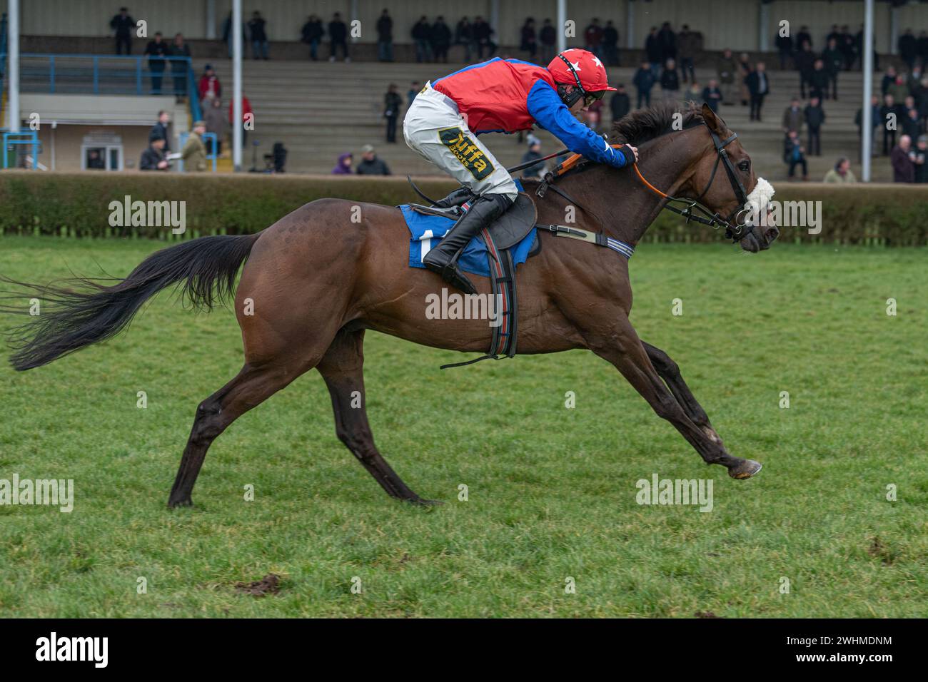 Viertes Rennen in Wincanton am 2. März 2022 Stockfoto