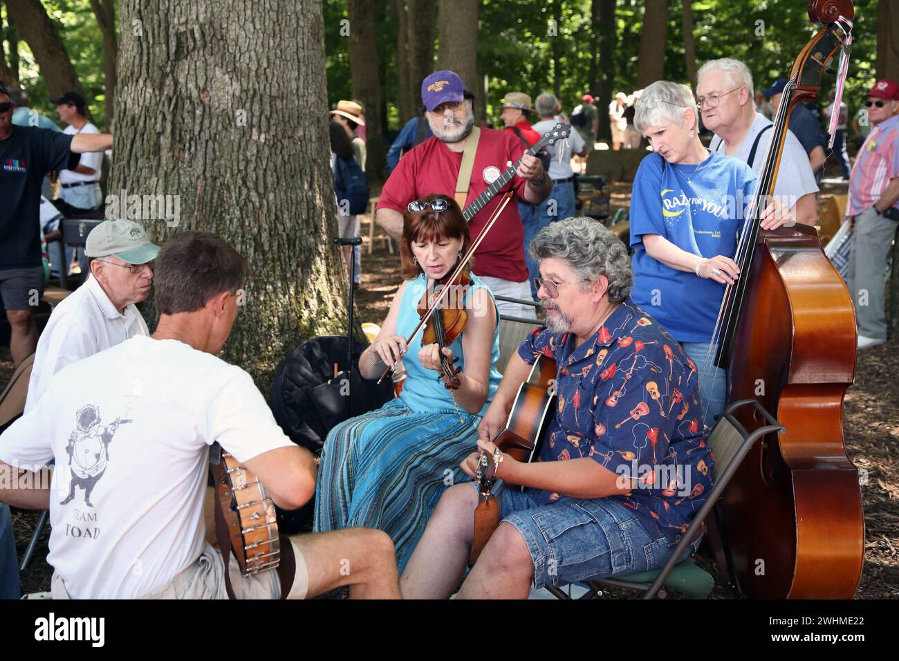 Musiker jammen in fließenden Gruppen unter Bäumen beim Old Fiddlers Picknick Stockfoto