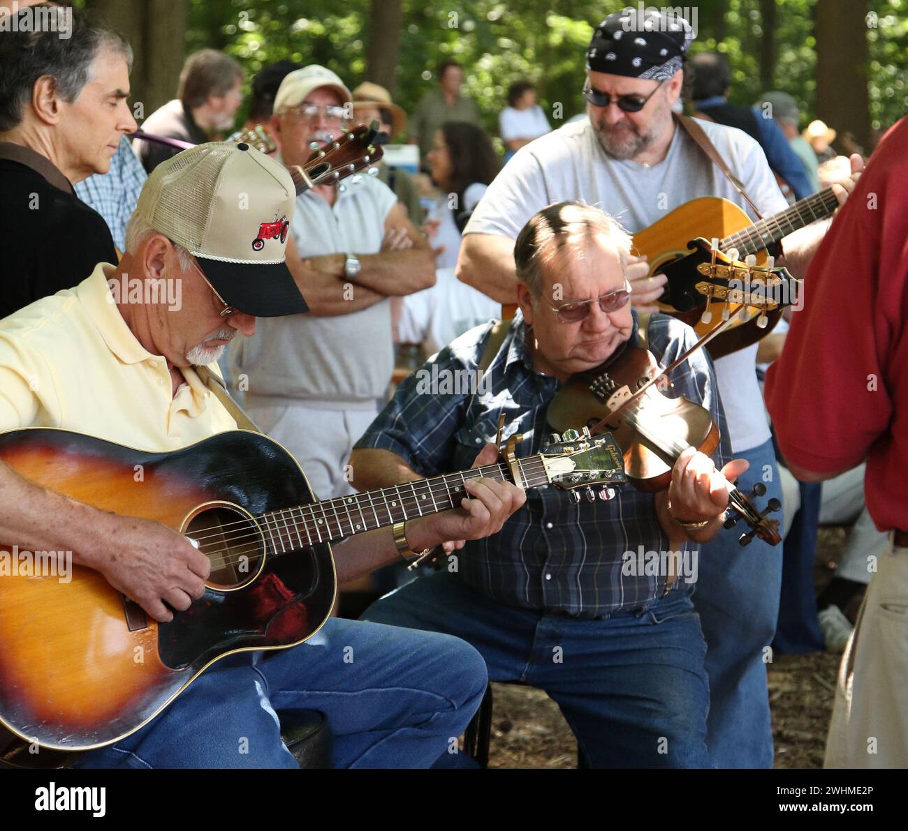 Musiker jammen in fließenden Gruppen unter Bäumen beim Old Fiddlers Picknick Stockfoto