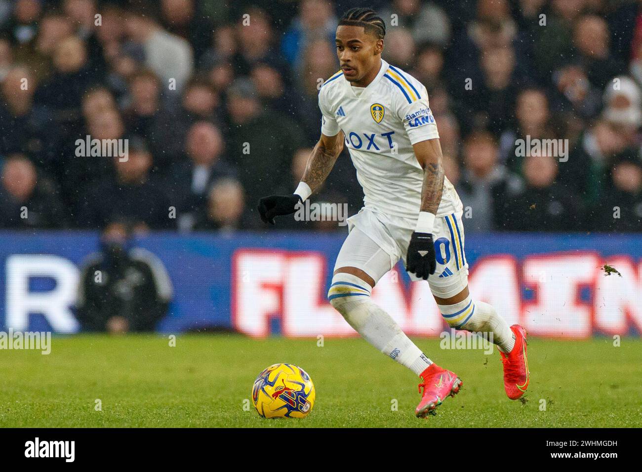 Leeds, Großbritannien. Februar 2024. Crysencio Summerville #10 von Leeds United während des Sky Bet Championship-Spiels zwischen Leeds United und Rotherham United in Elland Road, Leeds am Samstag, den 10. Februar 2024. (Foto: Mike Morese/MI News/NurPhoto) Credit: NurPhoto SRL/Alamy Live News Stockfoto