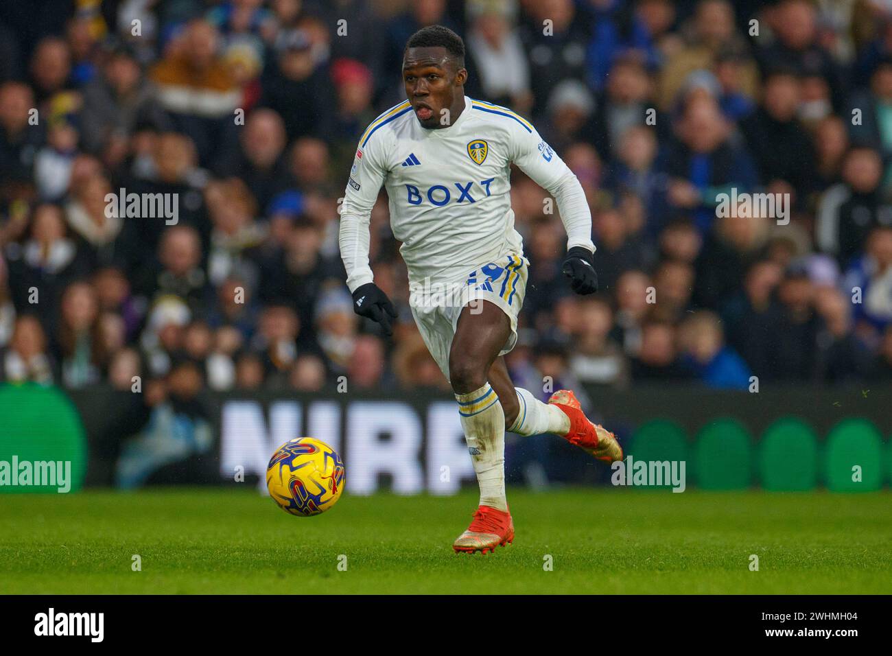 Leeds, Großbritannien. Februar 2024. Wilfried Gnonto #29 von Leeds United ist am 10. Februar 2024 beim Sky Bet Championship-Spiel zwischen Leeds United und Rotherham United in der Elland Road in Leeds im Einsatz. (Foto: MI News/NurPhoto) Credit: NurPhoto SRL/Alamy Live News Stockfoto