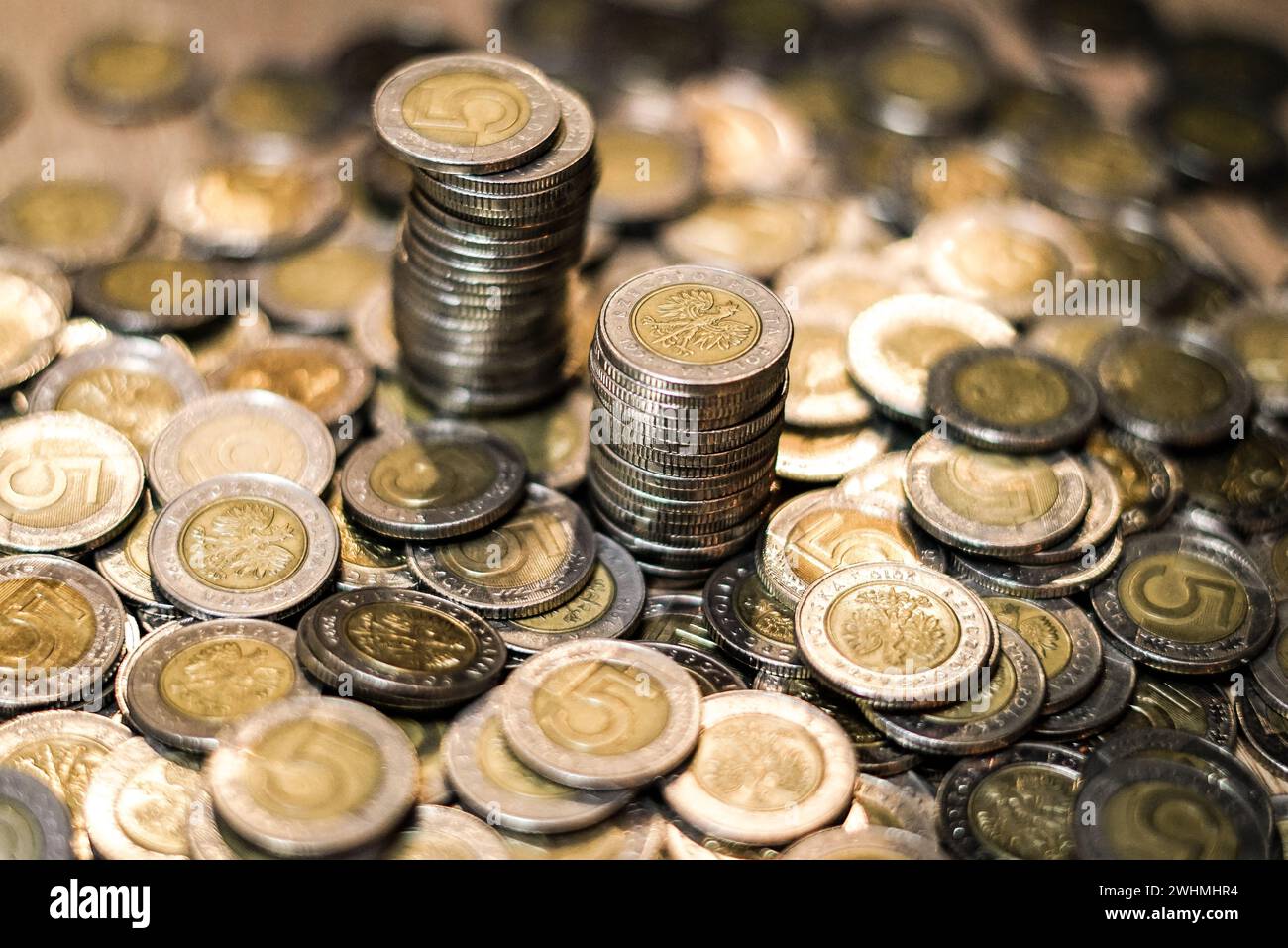 Polnische Münzen. Polnisches Geld. Polnische Währung. Stockfoto